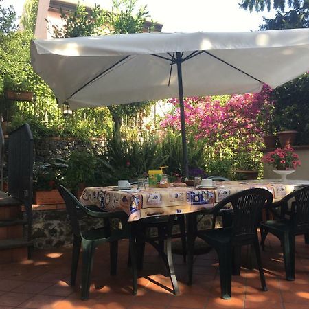 Villa Rosa Etna Apartments Zafferana Etnea Zewnętrze zdjęcie